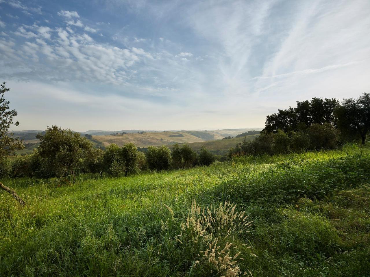Вілла Borgo Lucignanello Bandini Сан-Джованні-д'Ассо Екстер'єр фото