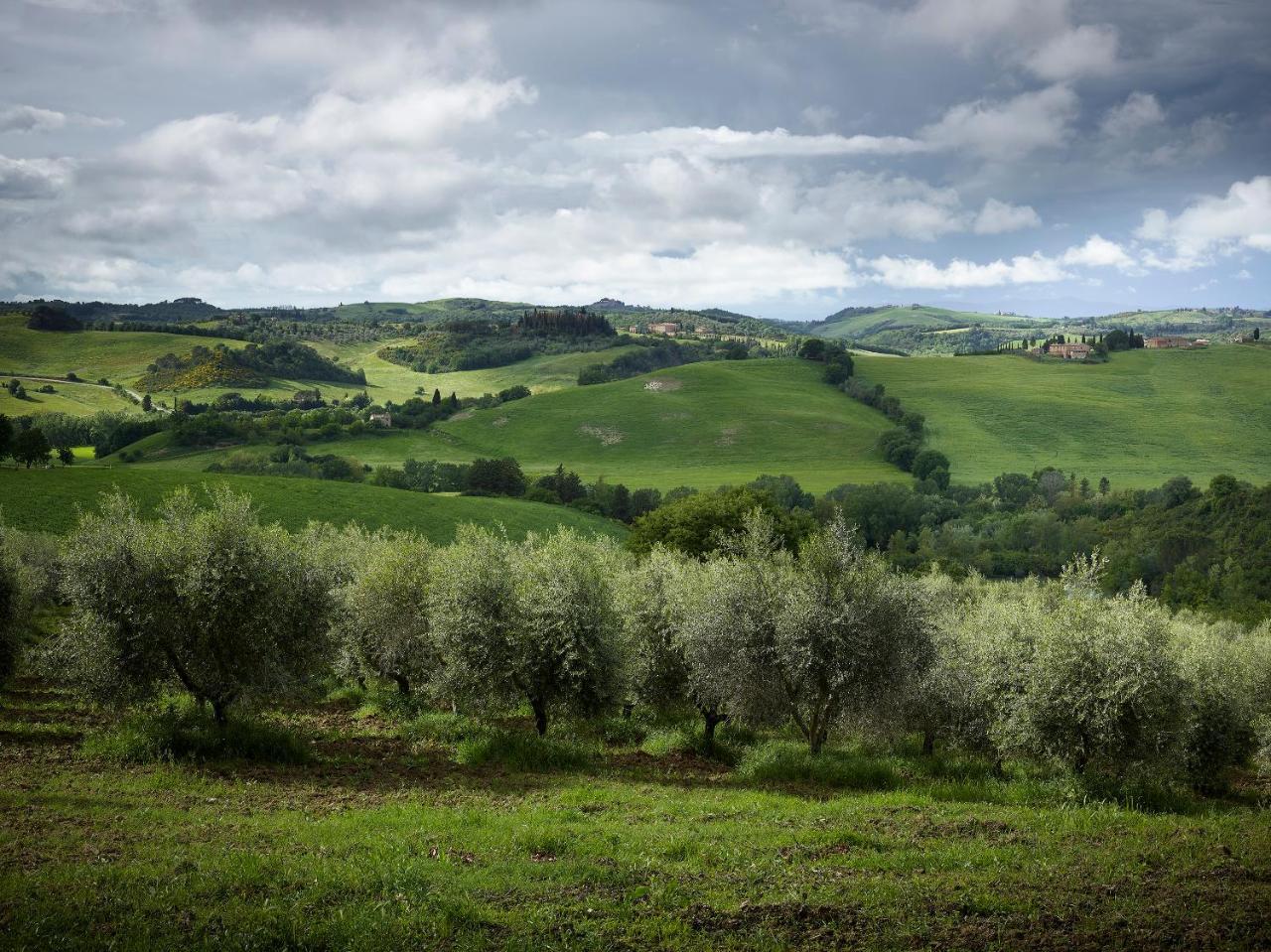 Вілла Borgo Lucignanello Bandini Сан-Джованні-д'Ассо Екстер'єр фото